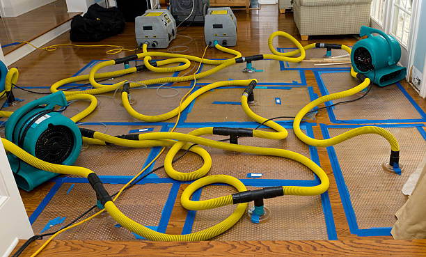Professional Flood Damage Restoration technician working in Talmo, GA